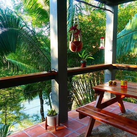 Riverhill Hideaway Monkey Fall Dış mekan fotoğraf