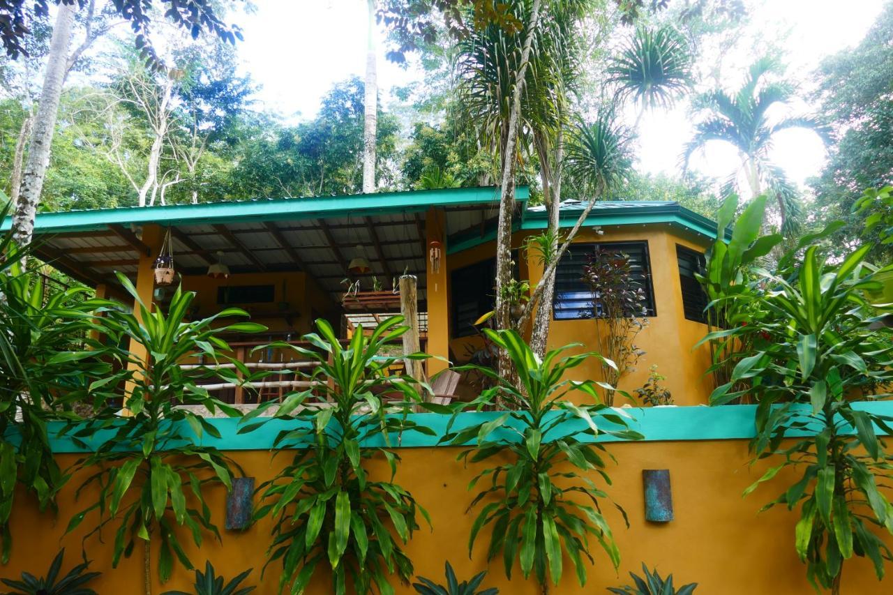 Riverhill Hideaway Monkey Fall Dış mekan fotoğraf