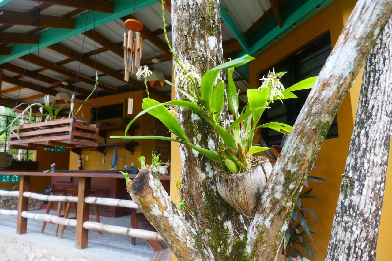 Riverhill Hideaway Monkey Fall Dış mekan fotoğraf