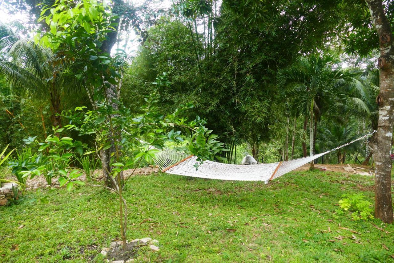 Riverhill Hideaway Monkey Fall Dış mekan fotoğraf