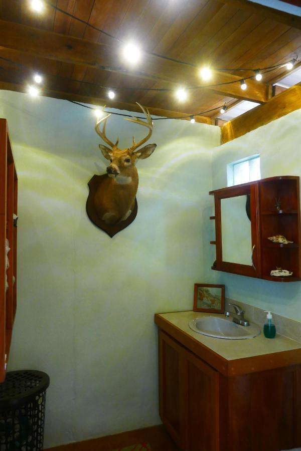 Riverhill Hideaway Monkey Fall Dış mekan fotoğraf