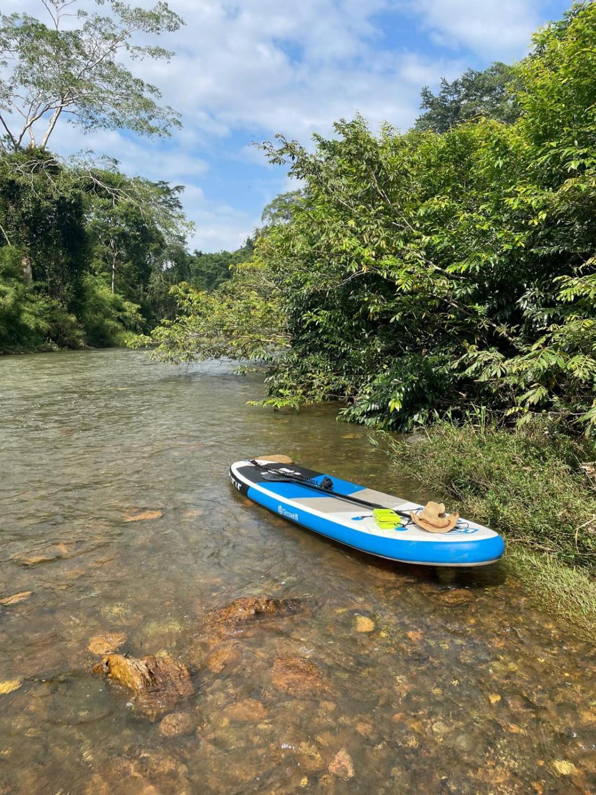 Riverhill Hideaway Monkey Fall Dış mekan fotoğraf